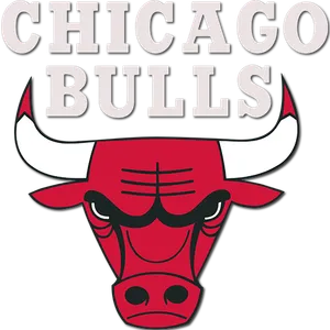 Chicago Bulls