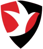 Cheltenham Town FC