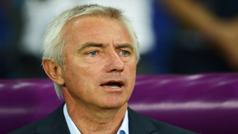 Van Marwijk Quits As Dutch Boss