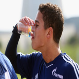 Ibrahim Afellay