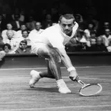 Neale Fraser
