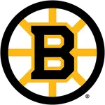 Boston Bruins