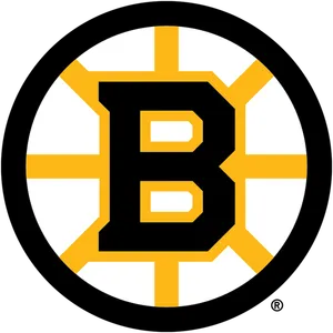 Boston Bruins
