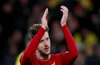 Adam Lallana Delighted to Join Brighton and Hove Albion